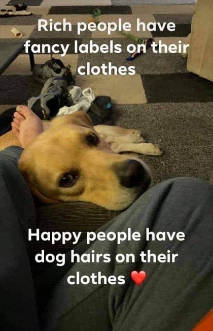 dog hairs on clothes.jpg
